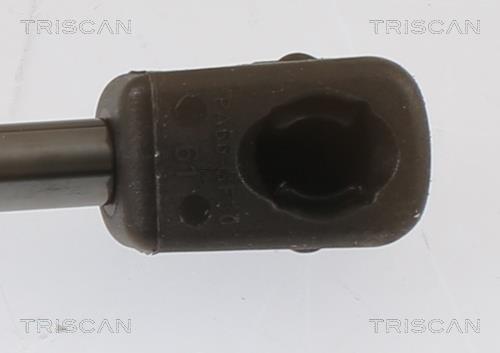 Vérin (Vérin de hayon) Triscan A/S ref. 8710 292071