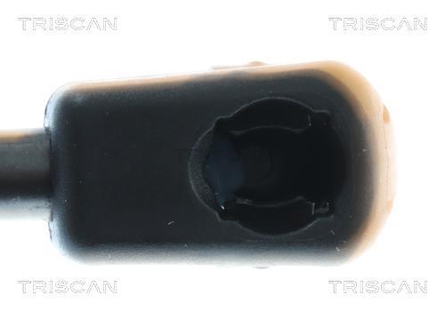 Muelle neumático, maletero/compartimento de carga Triscan A/S ref. 8710 292082