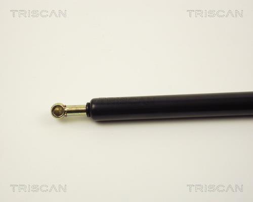 Vérin (Vérin de hayon) Triscan A/S 8710 2920