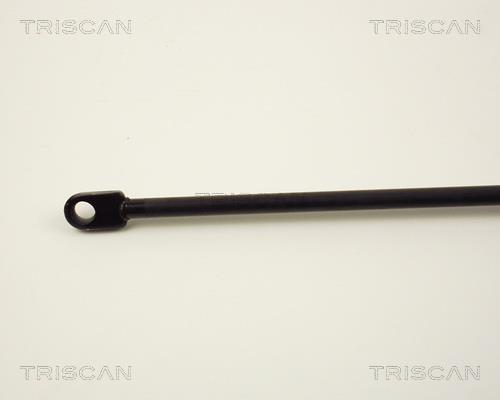 Vérin (Vérin de hayon) Triscan A/S 8710 2920