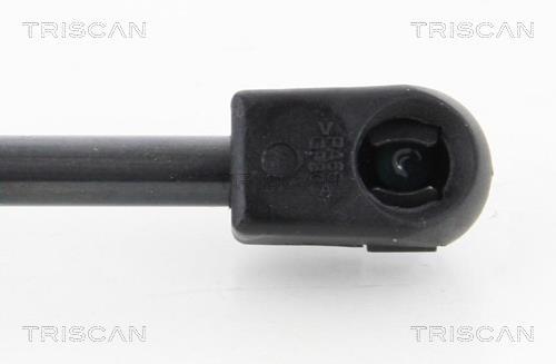 Vérin (Vérin de hayon) Triscan A/S 8710 292107