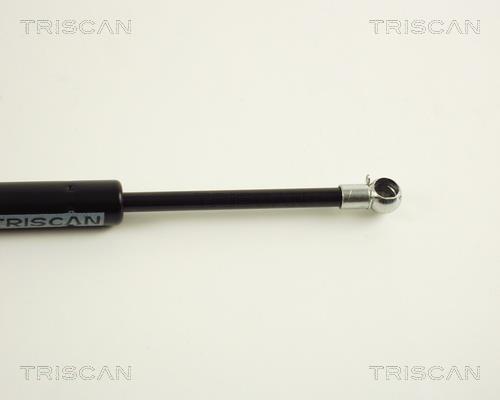 Vérin (Vérin de hayon) Triscan A/S 8710 29210
