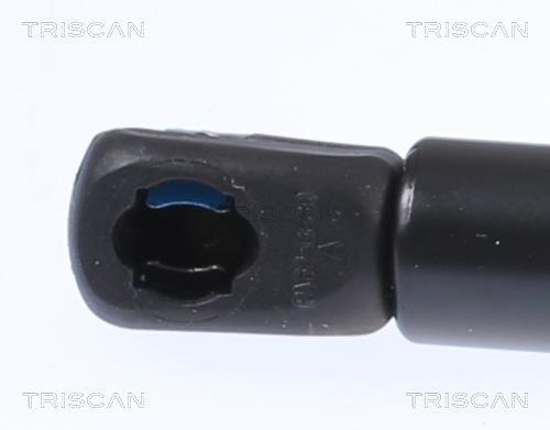 Vérin (Vérin de hayon) Triscan A/S 8710 292111