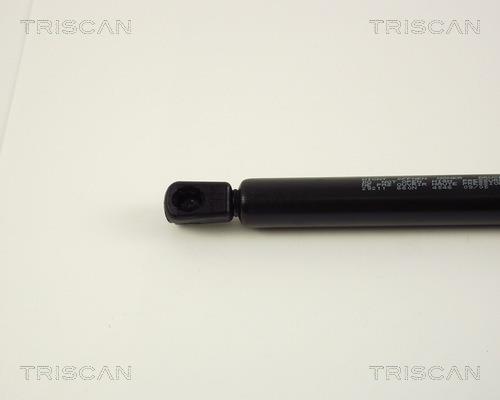 Vérin (Vérin de hayon) Triscan A/S 8710 29211
