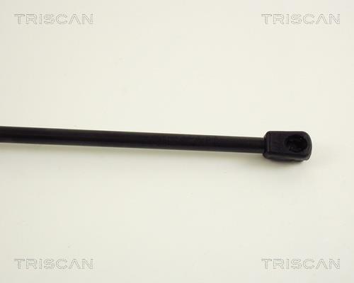 Vérin (Vérin de hayon) Triscan A/S 8710 29211