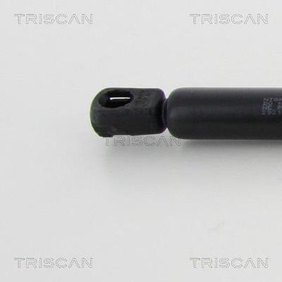 Vérin (Vérin de hayon) Triscan A/S 8710 29212