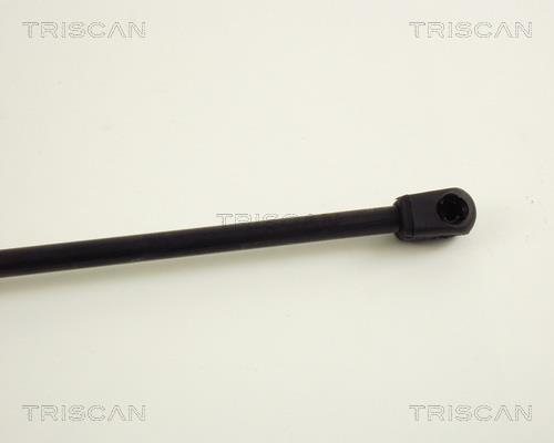 Vérin (Vérin de hayon) Triscan A/S 8710 29213