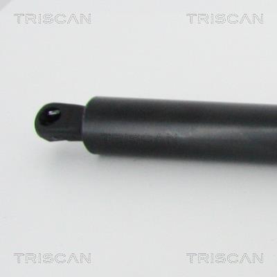 Vérin (Vérin de hayon) Triscan A/S 8710 29214