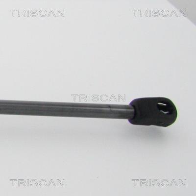 Vérin (Vérin de hayon) Triscan A/S 8710 29214