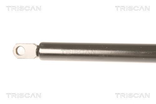 Cilindro Triscan A/S 8710 29216