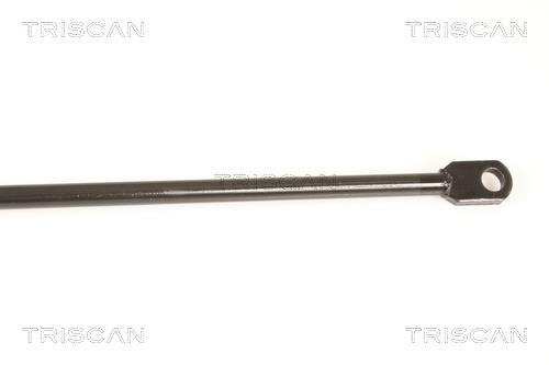 Cilindro Triscan A/S 8710 29216