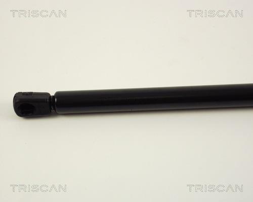 Vérin (Vérin de hayon) Triscan A/S ref. 8710 29217