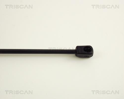 Vérin (Vérin de hayon) Triscan A/S ref. 8710 29217