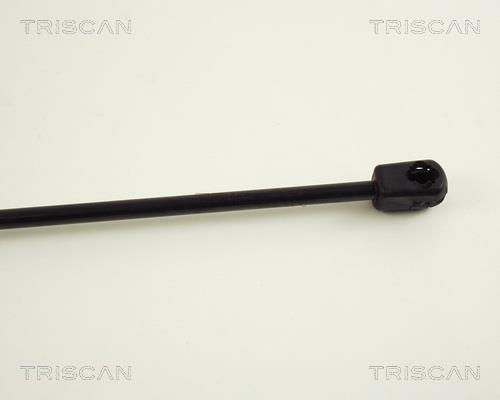 Vérin (Vérin de hayon) Triscan A/S 8710 29218