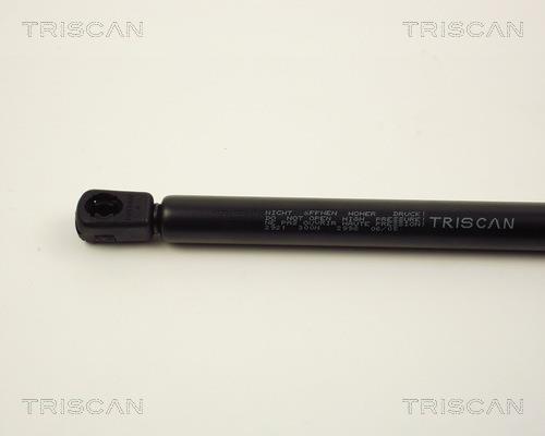 Vérin (Vérin de hayon) Triscan A/S 8710 2921