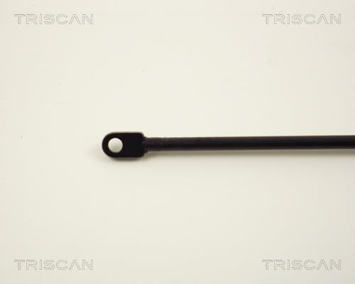 Vérin (Vérin de hayon) Triscan A/S 8710 2921