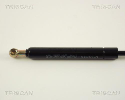 Vérin (Vérin de hayon) Triscan A/S ref. 8710 29220