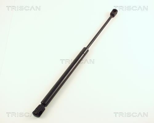 Vérin (Vérin de hayon) Triscan A/S 8710 29224