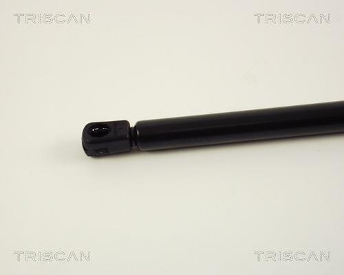 Vérin (Vérin de hayon) Triscan A/S 8710 29224