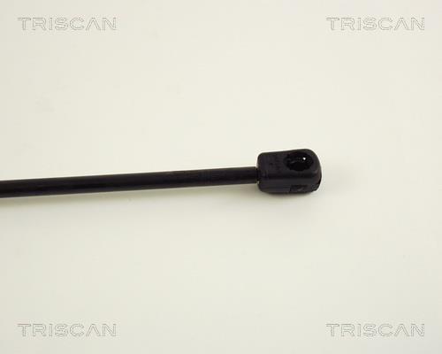 Vérin (Vérin de hayon) Triscan A/S 8710 29224