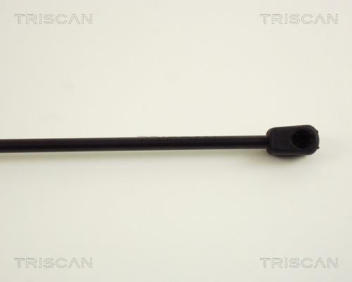 Muelle neumático Triscan A/S ref. 8710 29225