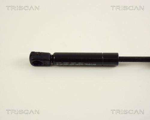 Vérin (Vérin de hayon) Triscan A/S 8710 29226