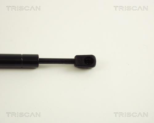 Vérin (Vérin de hayon) Triscan A/S 8710 29226