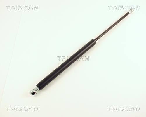 Cilindro Triscan A/S 8710 29227