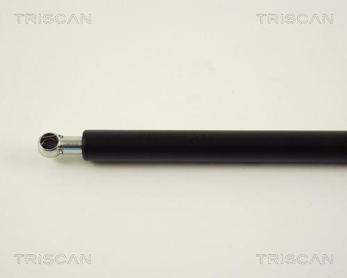 Cilindro Triscan A/S 8710 29227