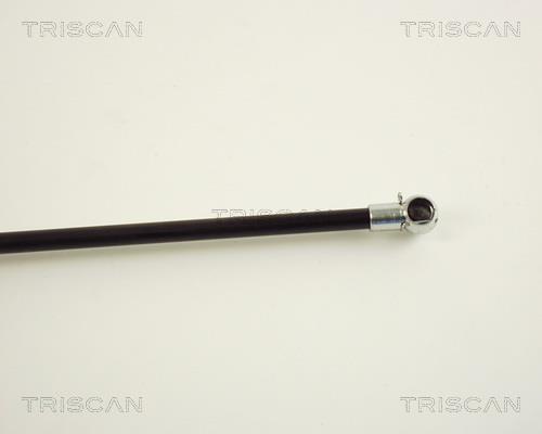 Cilindro Triscan A/S 8710 29227