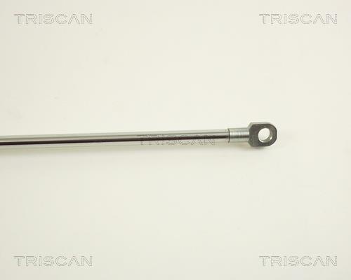 Vérin (Vérin de hayon) Triscan A/S 8710 29229