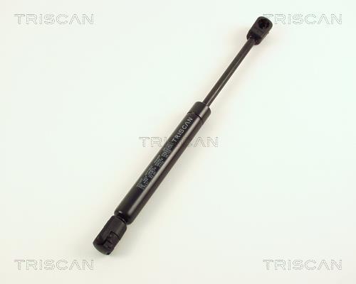 Muelle neumático Triscan A/S ref. 8710 29231