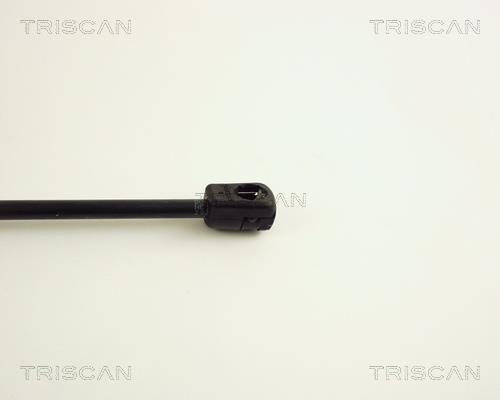 Vérin (Vérin de hayon) Triscan A/S ref. 8710 29232