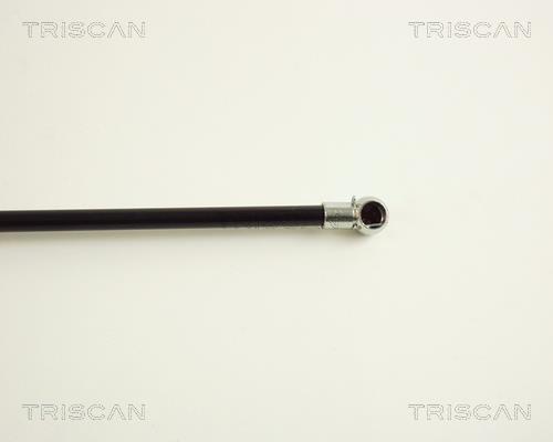 Vérin (Vérin de hayon) Triscan A/S ref. 8710 29234