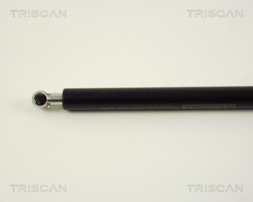 Vérin (Vérin de hayon) Triscan A/S ref. 8710 29235