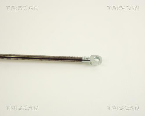 Vérin (Vérin de hayon) Triscan A/S ref. 8710 29235