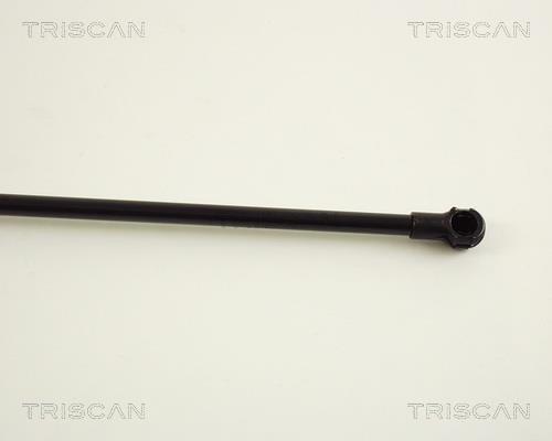 Vérin (Vérin de hayon) Triscan A/S ref. 8710 29236