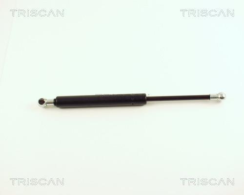 Vérin (Vérin de hayon) Triscan A/S 8710 29237