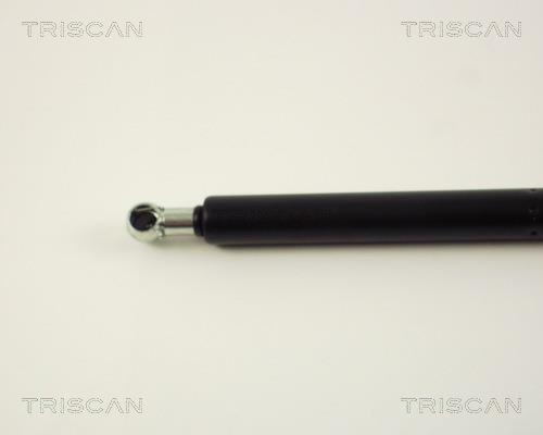 Vérin (Vérin de hayon) Triscan A/S 8710 29237