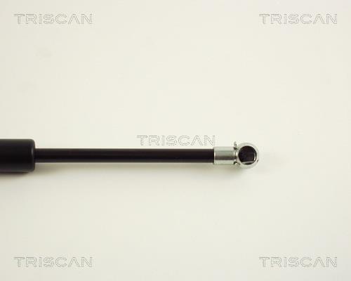 Vérin (Vérin de hayon) Triscan A/S 8710 29237