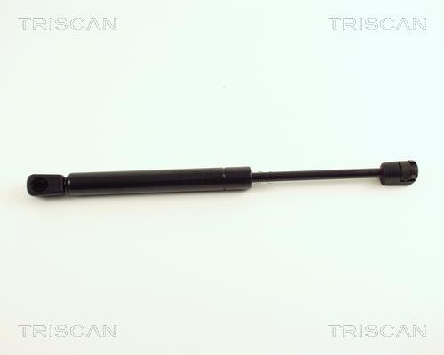 Vérin (Vérin de hayon) Triscan A/S 8710 29241