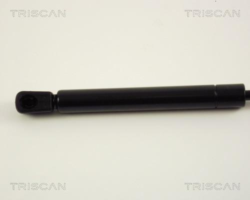 Vérin (Vérin de hayon) Triscan A/S 8710 29241