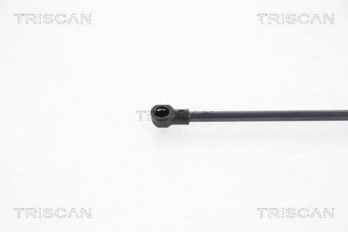 Muelle neumático Triscan A/S ref. 8710 29242