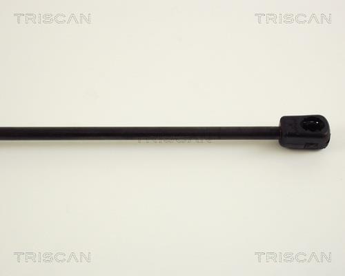 Vérin (Vérin de hayon) Triscan A/S 8710 29243