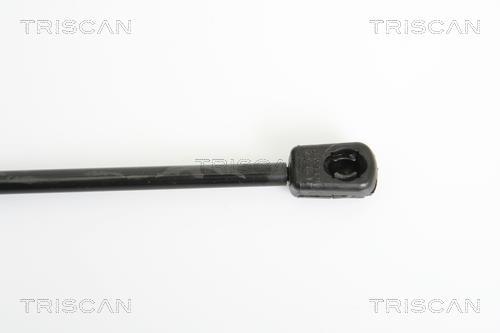 Vérin (Vérin de hayon) Triscan A/S ref. 8710 29245