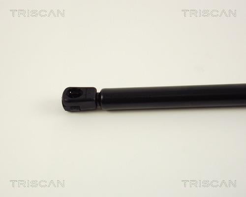 Vérin (Vérin de hayon) Triscan A/S 8710 29246