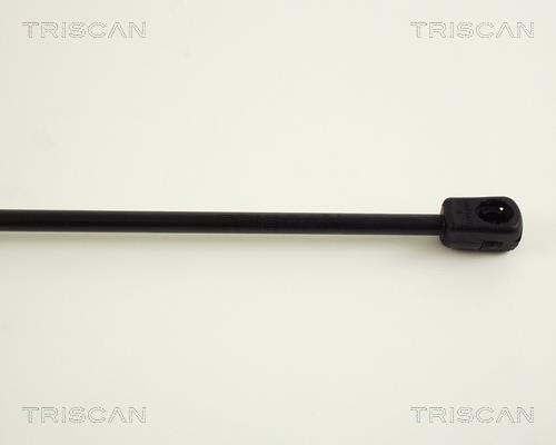 Vérin (Vérin de hayon) Triscan A/S 8710 29246