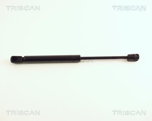 Vérin (Vérin de hayon) Triscan A/S 8710 29248