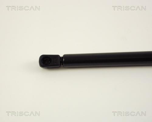 Vérin (Vérin de hayon) Triscan A/S 8710 29248