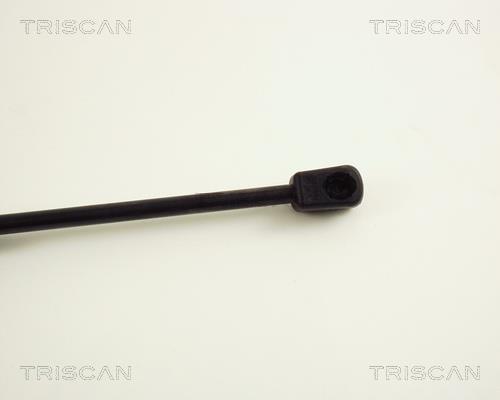 Vérin (Vérin de hayon) Triscan A/S 8710 29248